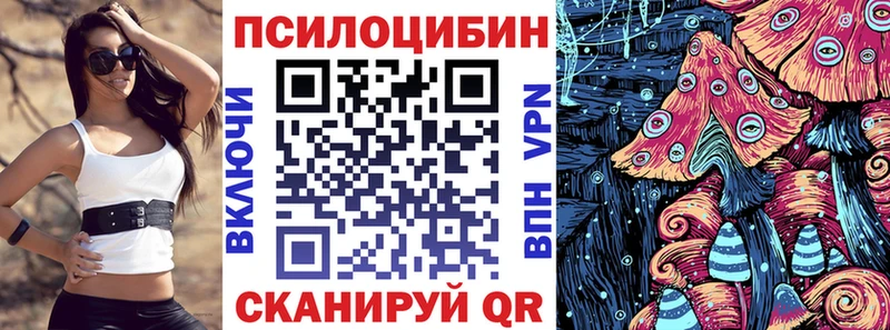 Псилоцибиновые грибы Cubensis  Купить где  Фурманов 