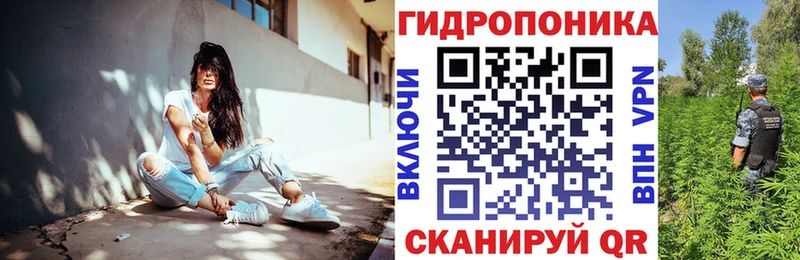 Купить закладки  Фурманов  Шишки марихуана тримм 